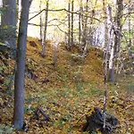Pod Zlota Wiecha Alloggio per agriturismo *