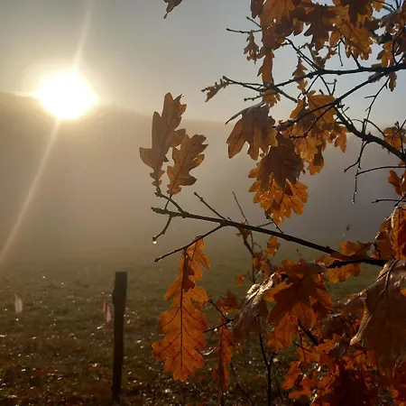 Pod Zlota Wiecha Séjour à la ferme *